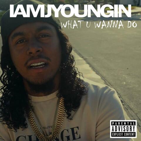 WHAT U WANNA DO album art