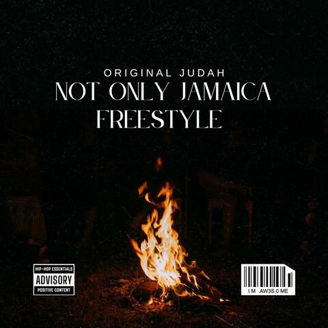 NOT ONLY JAMAICA (FREESTYLE) album art