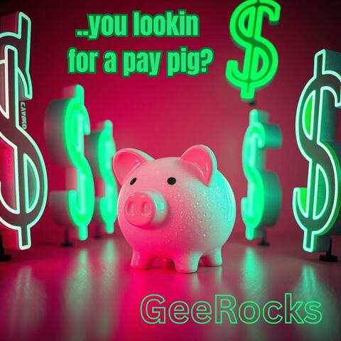 ..you lookin for a pay pig album art