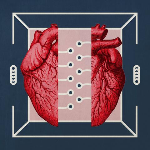 Circuit Veins album art