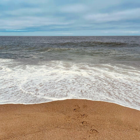 Breath of Renewal album art