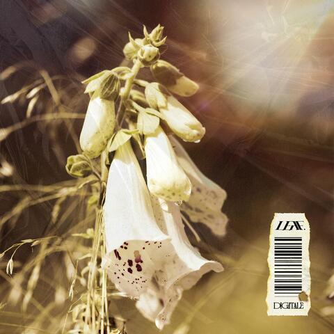 Digitale album art