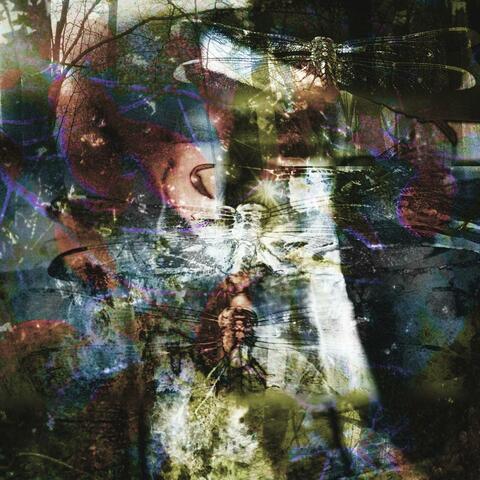 Dragonfly album art