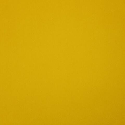 Insincere album art