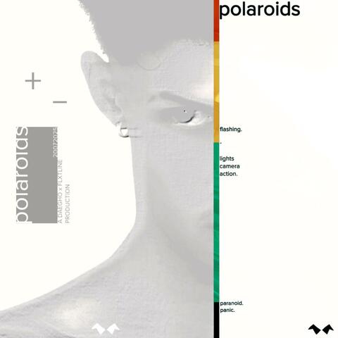 Polaroids album art