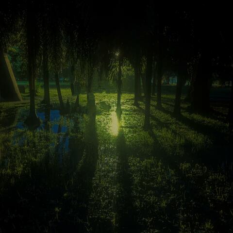 learning album art