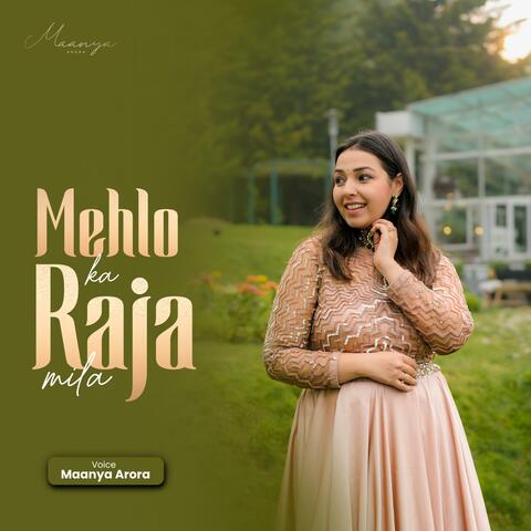 Mehlon ka Raja Mila album art