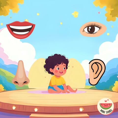 Cabeza, hombros, rodillas y pies album art