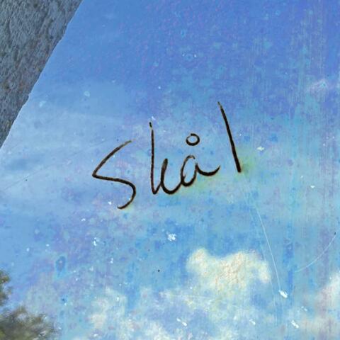 Skål album art