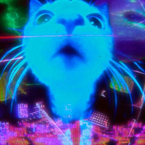 Perreo Azul De Neón album art