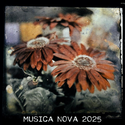Musica Nova 2025 album art