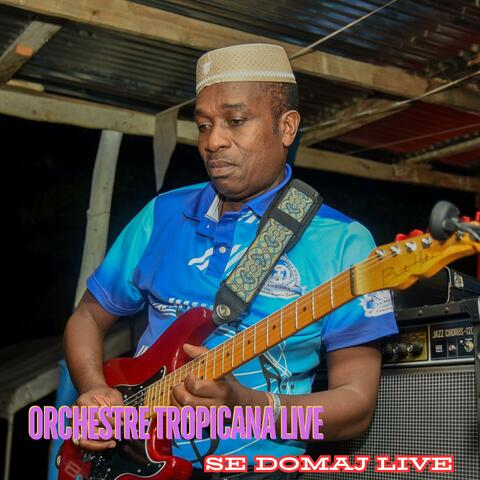 Se domaj live album art