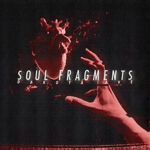 Soul Fragments album art