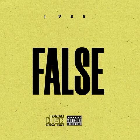False album art