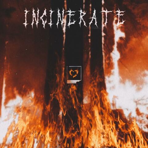 Incinerate album art
