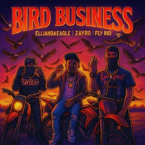 Bird Business (feat. Fly Rio & Zayro) album art
