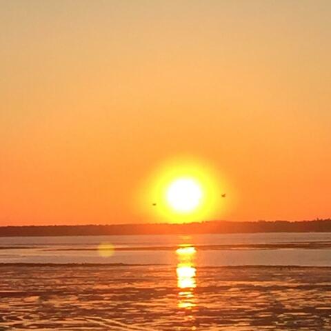 été couleur automne album art