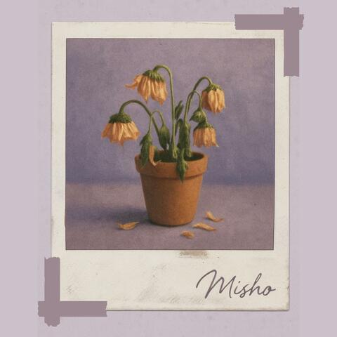 recuerdo album art