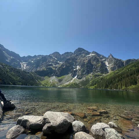 wish you well album art