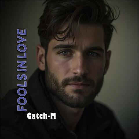 Fools in Love album art