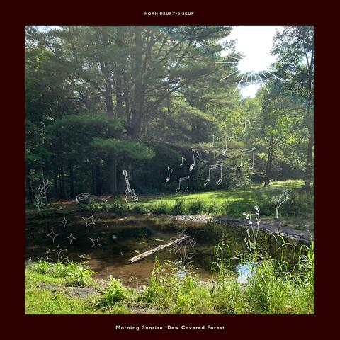 Morning Sunrise, Dew Covered Forest album art