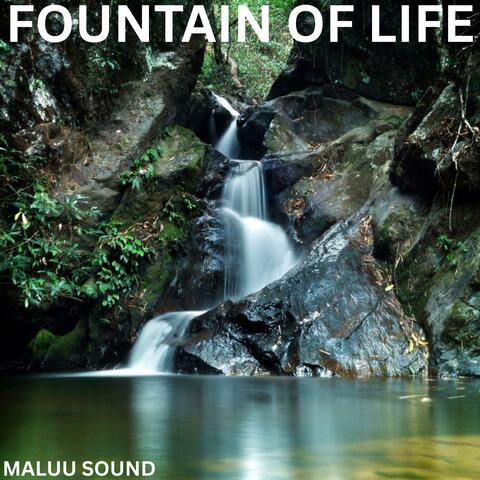 FOUNTAIN OF LIFE album art