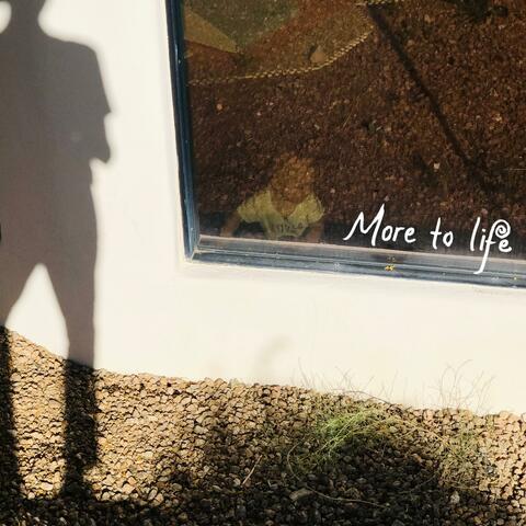 More to Life album art