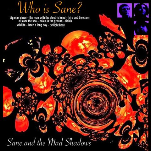 Who is Sane? album art