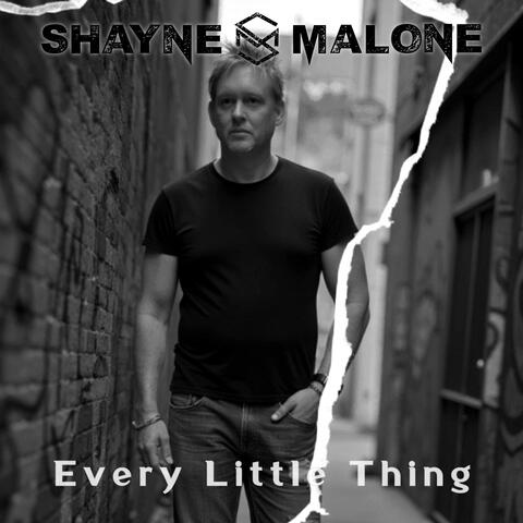 Every Little Thing album art