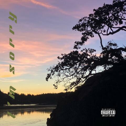 Im sorry album art