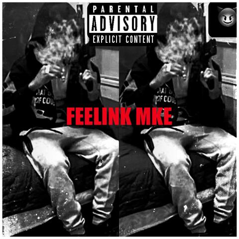 FEELINK MKE album art