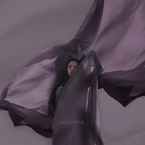 Roll Over album art