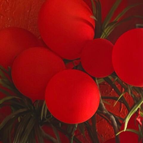 RED album art