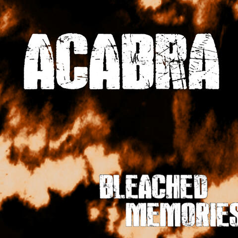 Bleached Memories album art