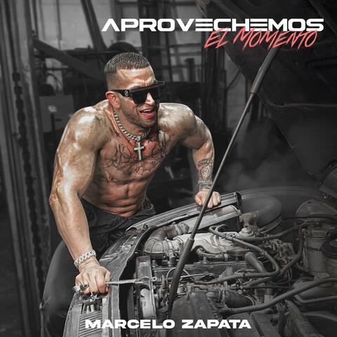 Aprovechemos el Momento album art