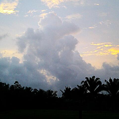 I Pray For You album art