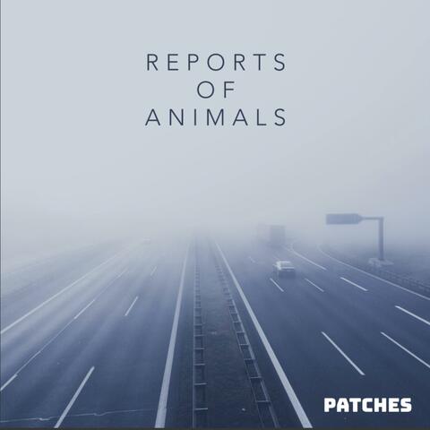 Reports of Animals album art