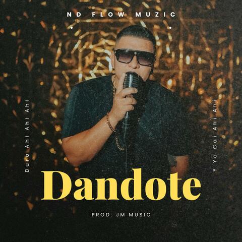 Dandote album art