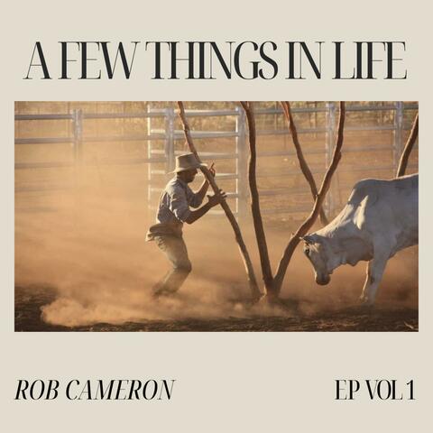 A Few Things In Life album art