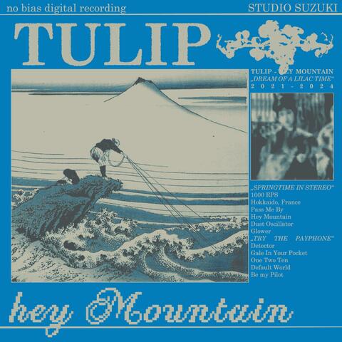 Hey Mountain album art