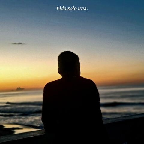 Vida Solo Una album art