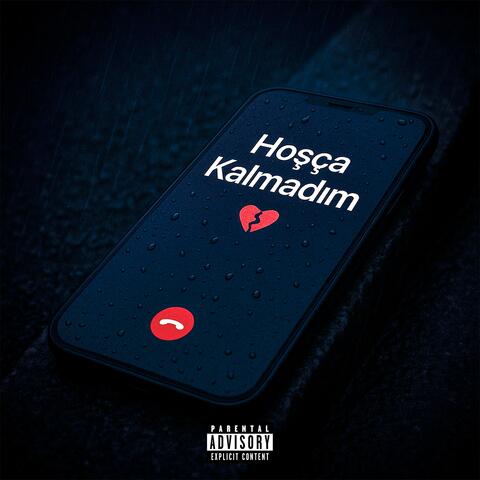 Hoşça Kalmadım album art