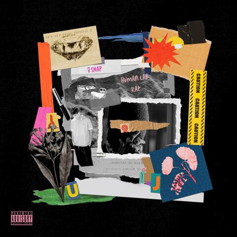 Human Lab Rat album art