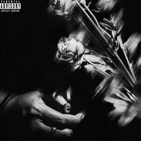 S H V T T E R E D T I E S album art