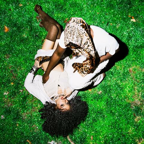 MOLLY album art