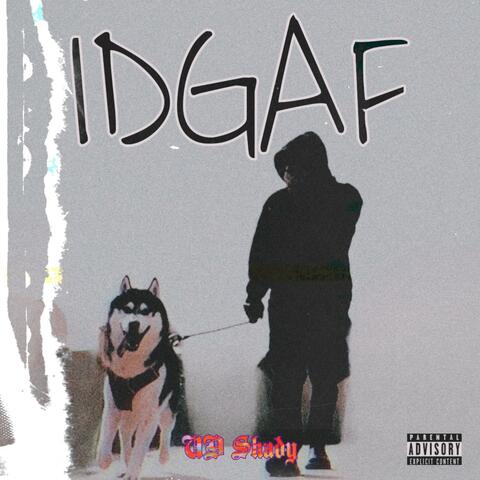 IDGAF album art