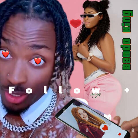 Follow album art