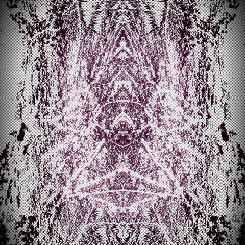 Vestige album art