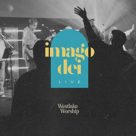 Stand Amazed (feat. Christy P Klotz) [Live] album art