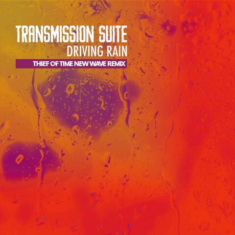 Driving Rain (Chris Massey The Thief Of Time Remixes) album art